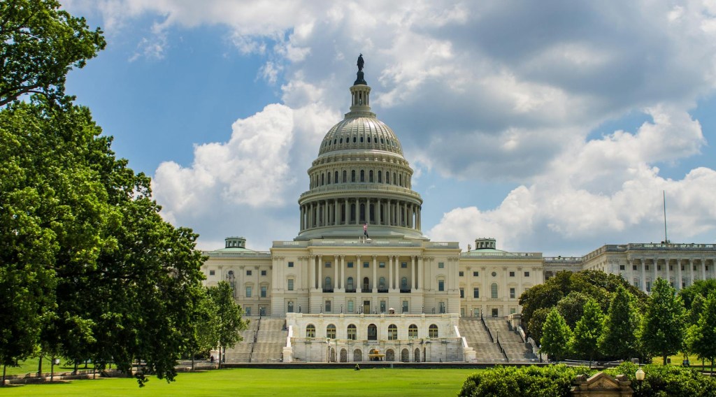 Politics and Other&nbsp;Biases